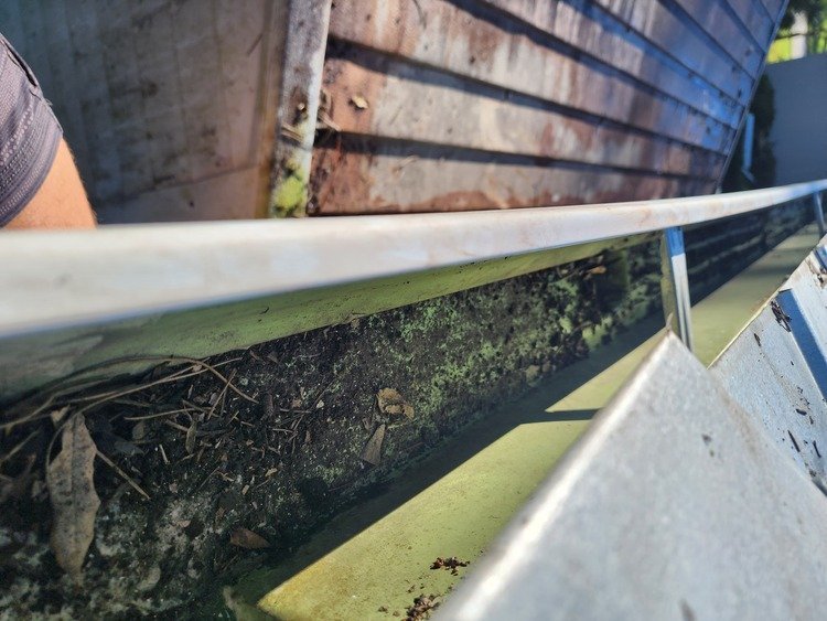 Residential Gutter Cleaning port Saint Lucie FL
